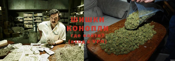 гидра Аркадак