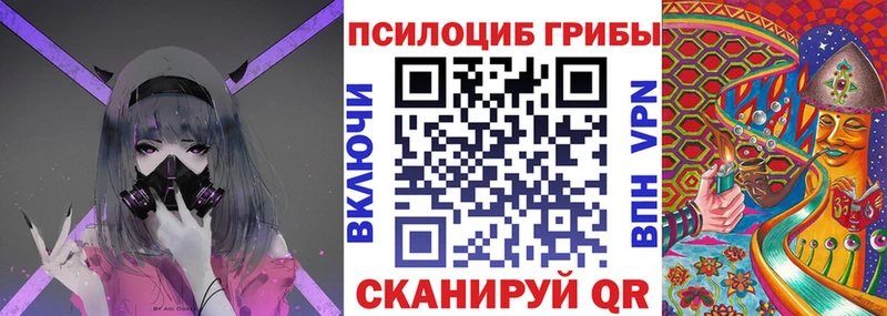купить  цена  darknet Telegram  Галлюциногенные грибы мицелий  Сафоново 